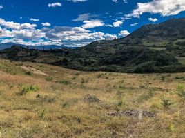  Terrain for sale in Malacatos Valladolid, Loja, Malacatos Valladolid