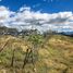  Terrain for sale in Malacatos Valladolid, Loja, Malacatos Valladolid