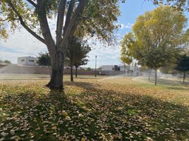  Grundstück zu verkaufen in Torreon, Coahuila, Torreon