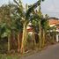 2 Kamar Rumah for sale in Geger, Madiun, Geger