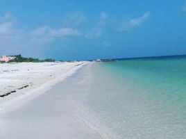  Grundstück zu verkaufen in Progreso, Yucatan, Progreso
