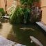 Maison 4 chambre à vendre à Zapopan, Jalisco, Zapopan, Jalisco