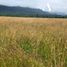  Land for sale in Chile, Hualaihue, Palena, Los Lagos, Chile