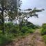  Land for sale in Batu, Malang Regency, Batu