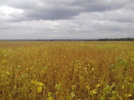  Terreno (Parcela) en venta en Capital, Cordobá, Capital