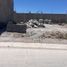  Land for sale in Mexquitic De Carmona, San Luis Potosi, Mexquitic De Carmona, San Luis Potosi
