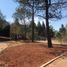  Land for sale in Morelia, Michoacan, Morelia, Michoacan