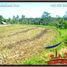  Land for sale in Gianyar Bali, Tegallalang