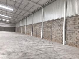 347 平米 Office for rent in Coahuila, Torreon, Coahuila
