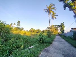  Land for sale in Yogyakarta, Ngemplak, Sleman, Yogyakarta