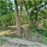  Land for sale in Nacajuca, Tabasco, Nacajuca