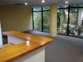 190 m² Office for rent in Naucalpan De Juarez, Mexico, Naucalpan De Juarez