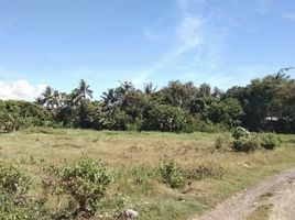  Land for sale in Liloan, Central Visayas, Liloan