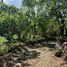  Land for sale in Liloan, Central Visayas, Liloan
