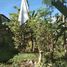  Land for sale in Liloan, Central Visayas, Liloan
