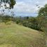  Land for sale in El Carmen De Viboral, Antioquia, El Carmen De Viboral