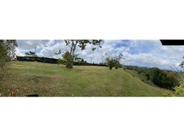  Land for sale in El Carmen De Viboral, Antioquia, El Carmen De Viboral