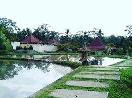 15 Bedroom House for sale in Bali, Ubud, Gianyar, Bali