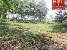  Land for sale in Bandung, West Jawa, Ngamprah, Bandung