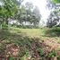  Land for sale in Bandung, West Jawa, Ngamprah, Bandung