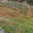  Terreno (Parcela) en venta en Cumbaya, Pichincha, Cumbaya