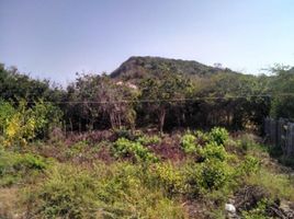  Terrain for sale in Malambo, Atlantico, Malambo