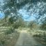  Terreno (Parcela) en venta en San Nicolas Tolentino, San Luis Potosí, San Nicolas Tolentino