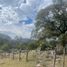  Terreno (Parcela) en venta en San Nicolas Tolentino, San Luis Potosí, San Nicolas Tolentino