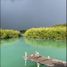  Grundstück zu verkaufen in Othon P Blanco, Quintana Roo, Othon P Blanco