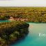 Grundstück zu verkaufen in Othon P Blanco, Quintana Roo, Othon P Blanco