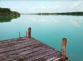  Grundstück zu verkaufen in Othon P Blanco, Quintana Roo, Othon P Blanco