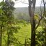  Land for sale in Selemadeg, Tabanan, Selemadeg