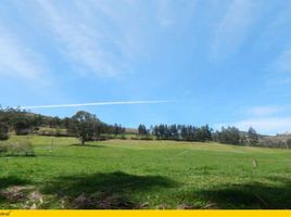  Land for sale in Quingeo, Cuenca, Quingeo