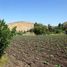  Terreno (Parcela) en venta en Chacabuco, Santiago, Colina, Chacabuco