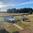 Studio House for sale in Cautin, Araucania, Villarrica, Cautin