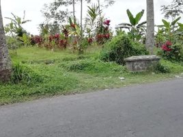  Tanah for sale in Tampak Siring, Gianyar, Tampak Siring