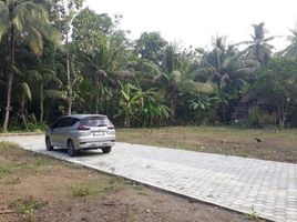  Land for sale in Tirto, Pekalongan, Tirto