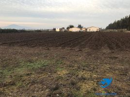  Terreno (Parcela) en venta en Santiago, Santiago, Santiago, Santiago
