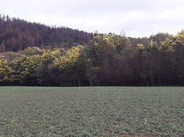  Terreno (Parcela) en venta en Chile, Mulchen, Biobío, Biobío, Chile