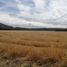  Terreno (Parcela) en venta en Chile, Mulchen, Biobío, Biobío, Chile