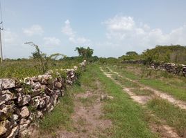 Studio Villa zu verkaufen in Merida, Yucatan, Merida