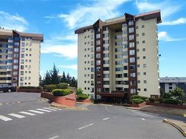 2 Bedroom Apartment for rent in Coronel, Concepción, Coronel