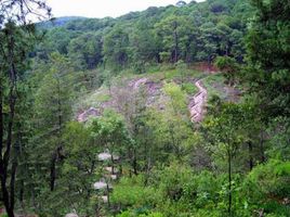  Terreno (Parcela) en venta en Mazamitla, Jalisco, Mazamitla