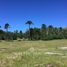 Studio Villa zu verkaufen in Curarrehue, Araucania, Curarrehue