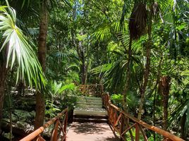 Grundstück zu verkaufen in Cozumel, Quintana Roo, Cozumel