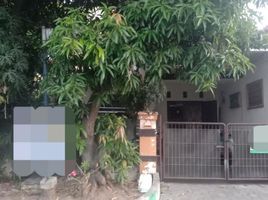 4 Schlafzimmer Villa zu verkaufen in Mulyorejo, East Jawa, Mulyorejo, Surabaya