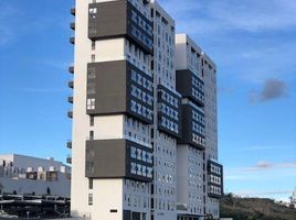 Appartement 2 chambre à louer à El Marques, Queretaro, El Marques