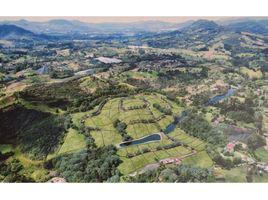  Land for sale in El Carmen De Viboral, Antioquia, El Carmen De Viboral