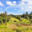 Terrain à vendre à Rionegro, Antioquia, Rionegro, Antioquia