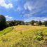 Terrain à vendre à Rionegro, Antioquia, Rionegro, Antioquia